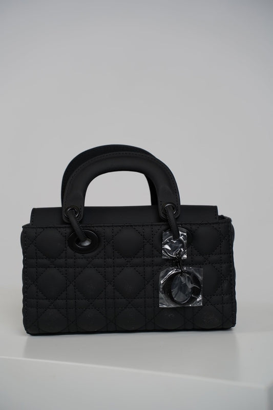 Dior Mini Hand Bag