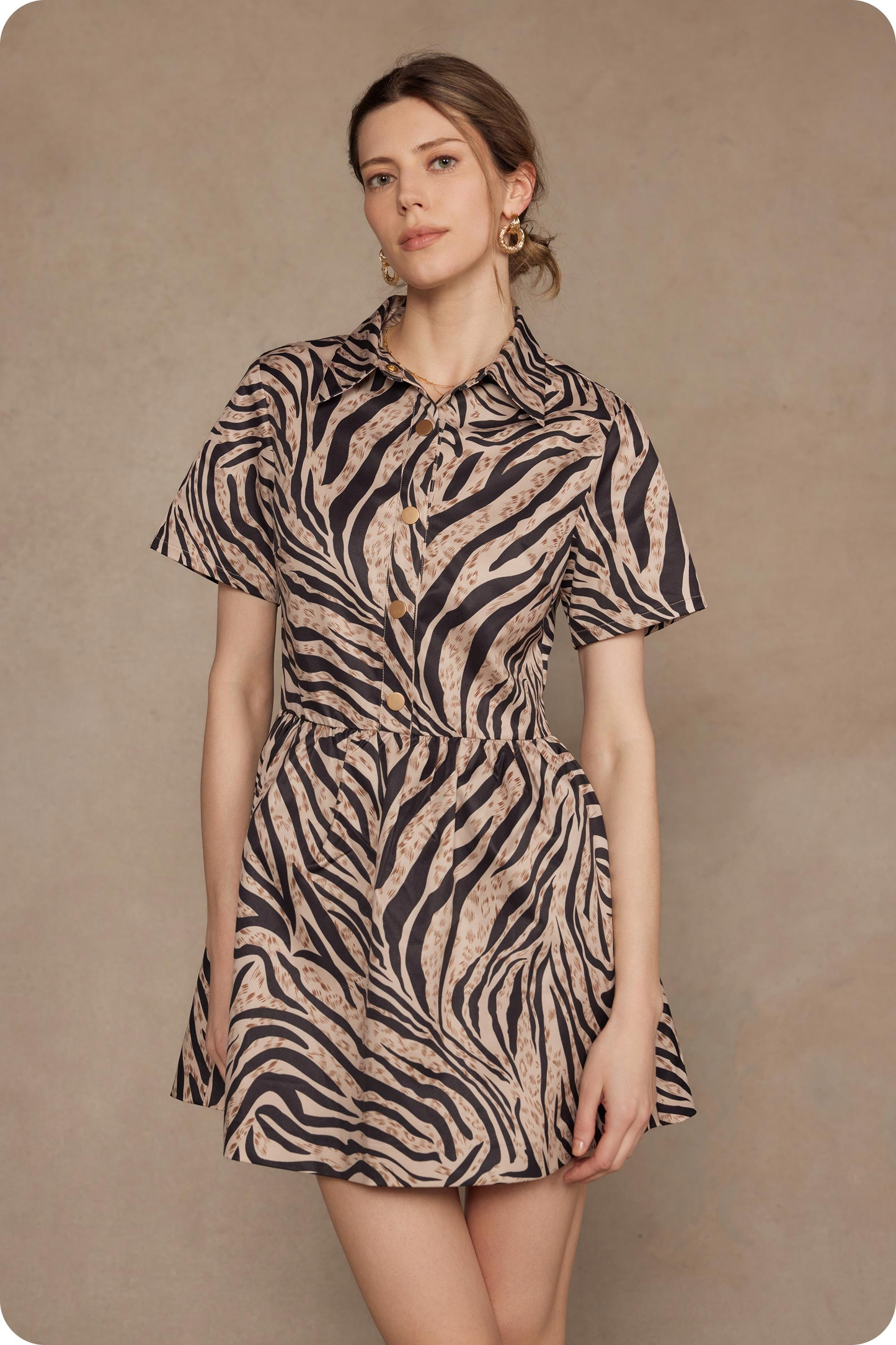 Zebra Mini Dress
