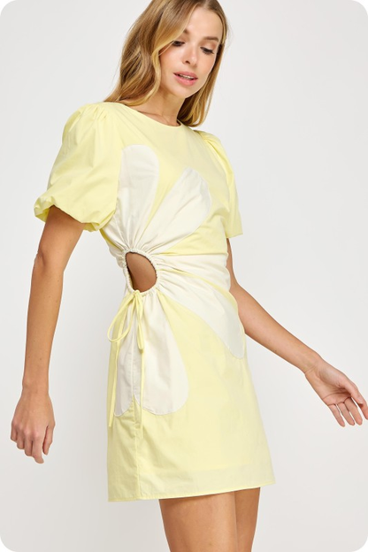 Sunbeam Daisy Cut-Out Mini