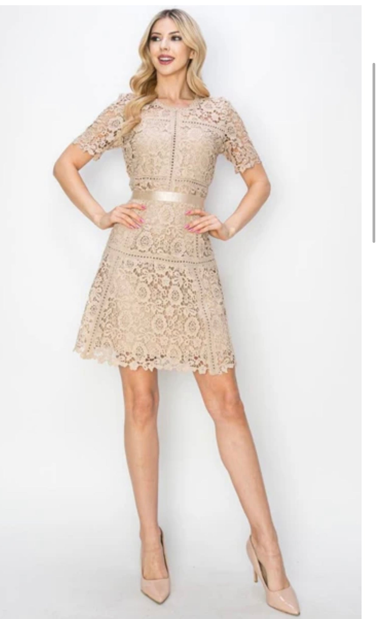 Yvette Lace Dress