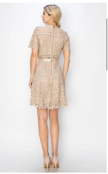 Yvette Lace Dress