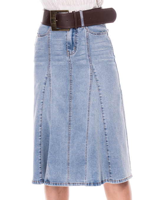 Joellie Denim Skirt