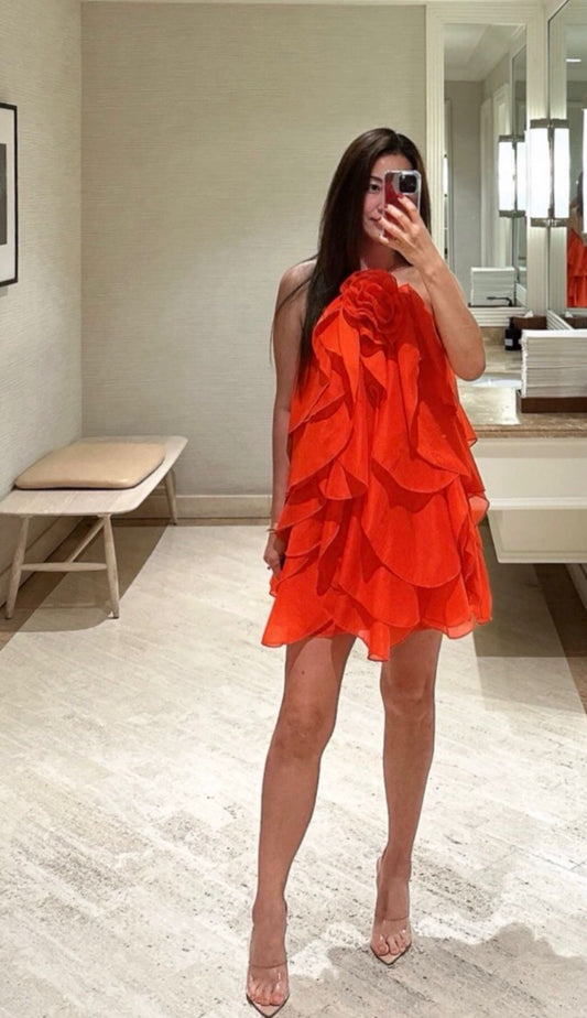 Organza Mini Dress